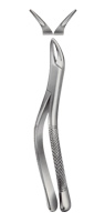 Tooth Forceps, American Pattern for upper roots & Bicuspids
